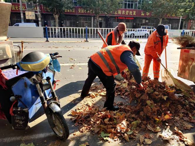 清洁保洁服务企业资质证书怎么申办 清洁保洁服务企业资质证书怎么申办