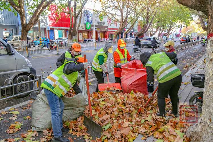 住建部环卫作业标准 住建部环卫作业标准